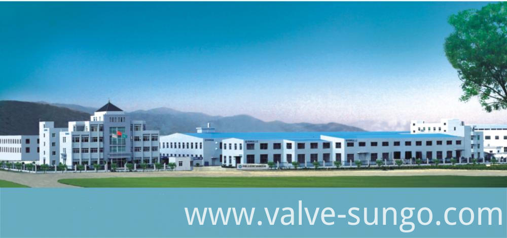 Duplex Stainless Steel Globe Valve Duplex Stainless Steel Globe Valve